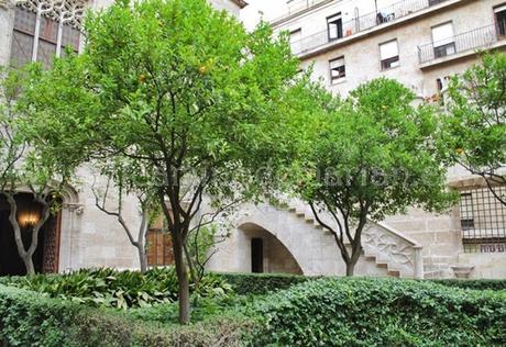 Entre naranjos, el Patio interior de la Lonja de la Seda valenciana