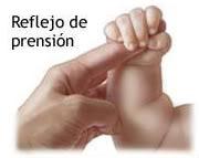 Los reflejos del bebé Los reflejos del bebé