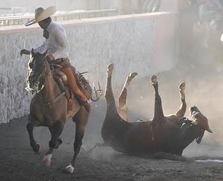 Rancho El Edén, Campeón en el IX Circuito Excelencia Rancho El Edén, Campeón en el IX Circuito Excelencia