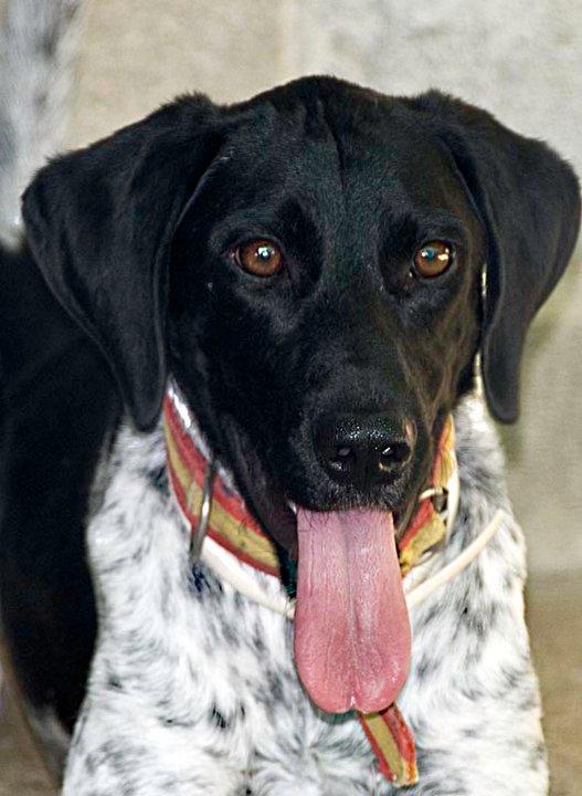 Ya nadie se acuerda de