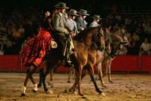Las Caballerizas Reales de Córdoba acogerán desde el viernes un espectáculo ecuestre Las Caballerizas Reales de Córdoba acogerán desde el viernes un espectáculo ecuestre
