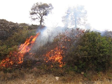 No lo entiendo. No lo entiendo.