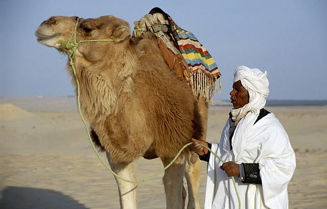 TURISMO DEL BISTURÍ : VACACIONES CON LIPOSUCCIÓN INCLUIDAS. TURISMO DEL BISTURÍ : VACACIONES CON LIPOSUCCIÓN INCLUIDAS.