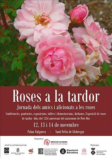 Roses a la tardor Roses a la tardor