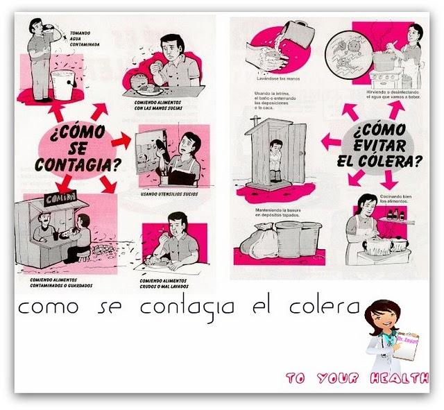 Modo de Transmisión del Colera Modo de Transmisión del Colera