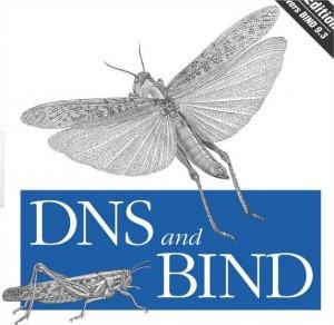 envenenamiento-dns-4 ¿Que es un ataque DNS Poisoning Attack? (envenenamiento de DNS)