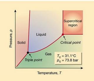 Los Estrechos Límites de la Vida Los Estrechos Límites de la Vida
