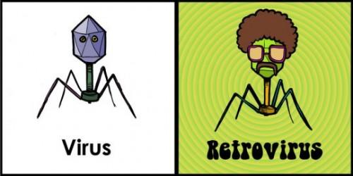 virus retrovirus 500x250 Diferencia entre Virus y Retrovirus