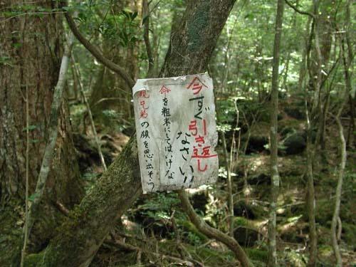 Bosque de Aokigahara, Japón