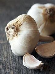 garlic garlic