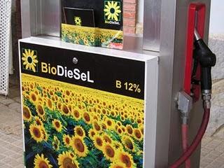 (Traducción adaptada de un comunicado de prensa del Insti... (Traducción adaptada de un comunicado de prensa del Insti...