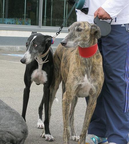 Mirando al cielo.... Posando para la foto....