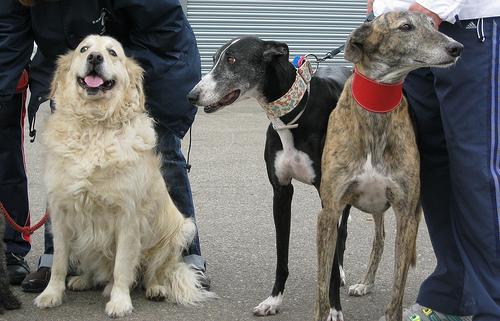 Mirando al cielo.... Posando