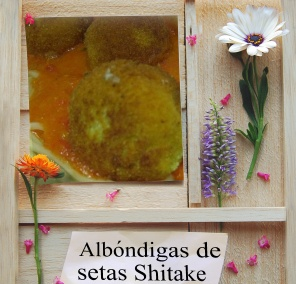 Fideos chinos con albóndigas de shitake