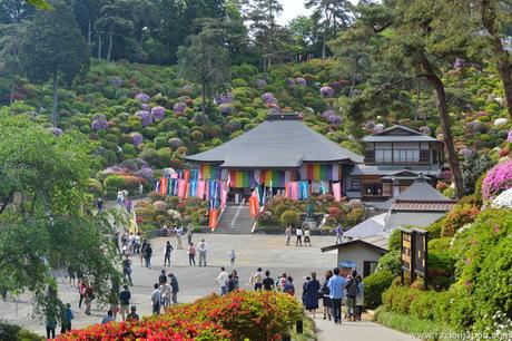 Azalea Matsuri en el templo Shiofune Kannon