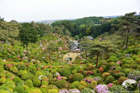 Azalea Matsuri en el templo Shiofune Kannon