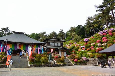 Azalea Matsuri en el templo Shiofune Kannon