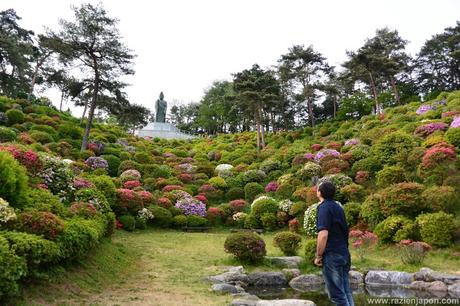 Azalea Matsuri en el templo Shiofune Kannon