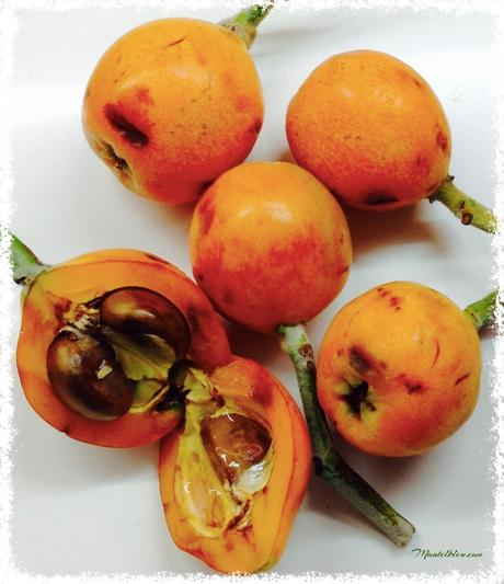 Bizcocho de nísperos y semillas de amapola Bizcocho de nísperos y semillas de amapola