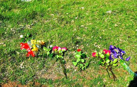 DESPIDIENDO A BRUNO DESPIDIENDO A BRUNO