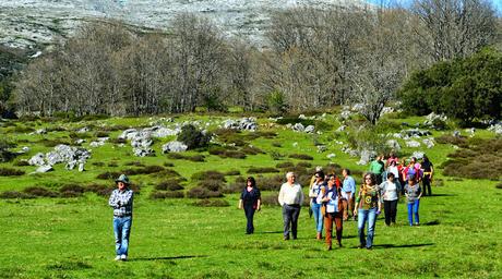 DESPIDIENDO A BRUNO DESPIDIENDO A BRUNO