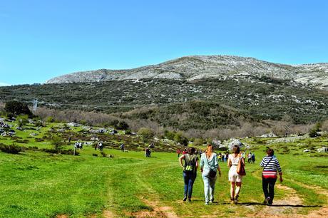 DESPIDIENDO A BRUNO DESPIDIENDO A BRUNO