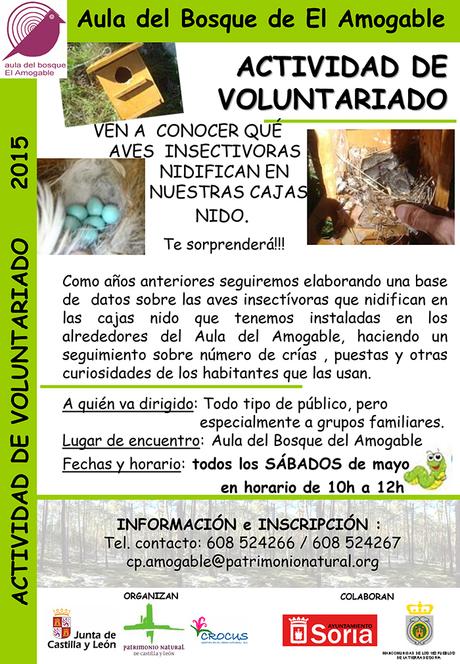 Nidificación de aves insectívoras en el Amogable Voluntariado nidificación aves insectivoras casa del parque del Amogable