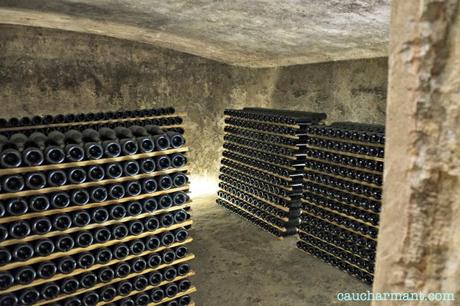 Can Bas es Can Bas 11 Lugares con encanto Can Bas Enoturismo Dominio Vinícola Pere Ventura DO Penedes Fujifilm X-e1