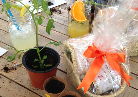 Huerbo urbano Huerbo urbano