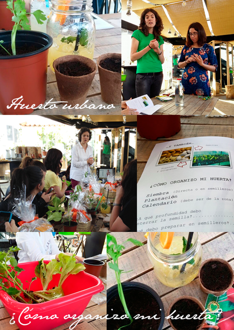 Huerbo urbano Huerbo urbano