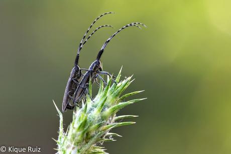 Macro 2015 III Macro 2015 III