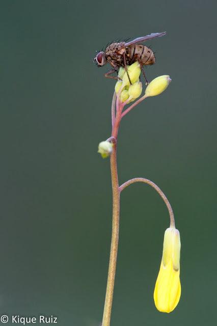 Macro 2015 III Macro 2015 III