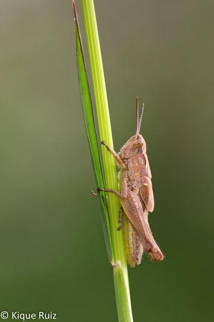 Macro 2015 III Macro 2015 III