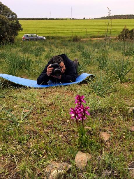 Macro 2015 III Macro 2015 III