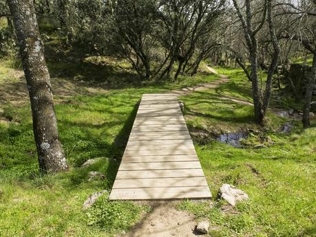 Por los antiguos molinos del río Perales (Vía Pecuaria)