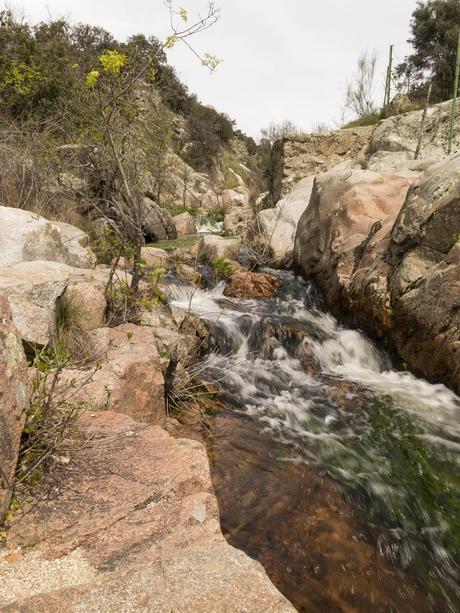 Por los antiguos molinos del río Perales (Vía Pecuaria)