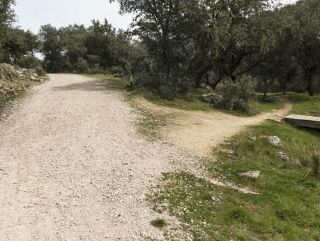 Por los antiguos molinos del río Perales (Vía Pecuaria)