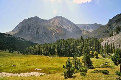 Pradera del ibón de Plan (Huesca)