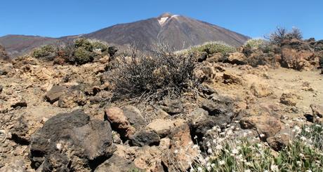 Excursión imprescindible en Tenerife: El Teide elteide