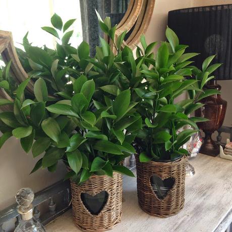 PROPOSITOS DE #LASEMANA17 PROPOSITOS DE #LASEMANA17