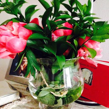 PROPOSITOS DE #LASEMANA17 PROPOSITOS DE #LASEMANA17