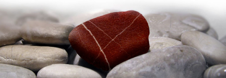 Maestros de la Vida Cotidiana autenticidad