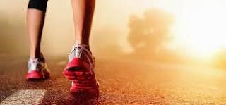 Preparar una pretemporada. Parte 2/4 Preparar una pretemporada. Parte 2/4