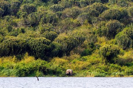 Entre George y Edouard Entre George y Edouard