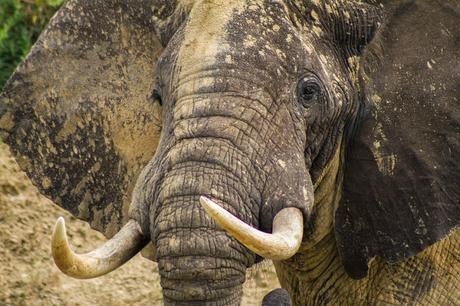 Entre George y Edouard Entre George y Edouard