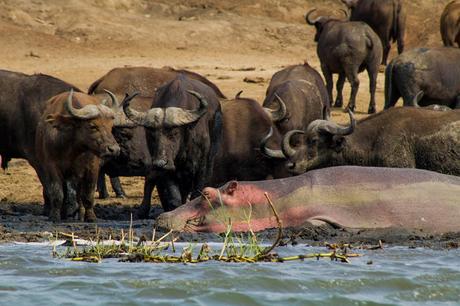 Entre George y Edouard Entre George y Edouard