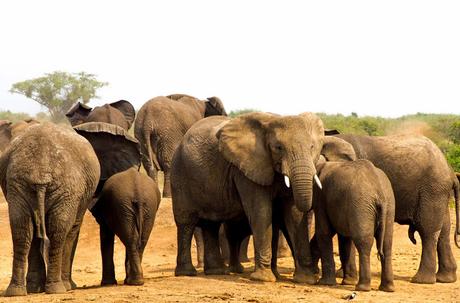 Entre George y Edouard Entre George y Edouard