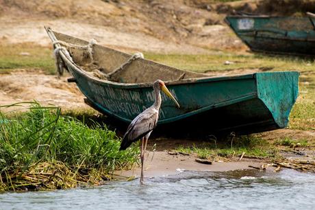 Entre George y Edouard Entre George y Edouard