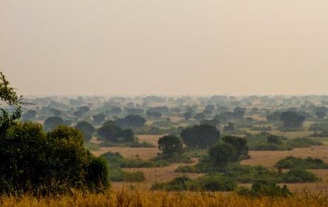 Entre George y Edouard Entre George y Edouard