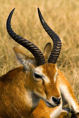 Entre George y Edouard Entre George y Edouard